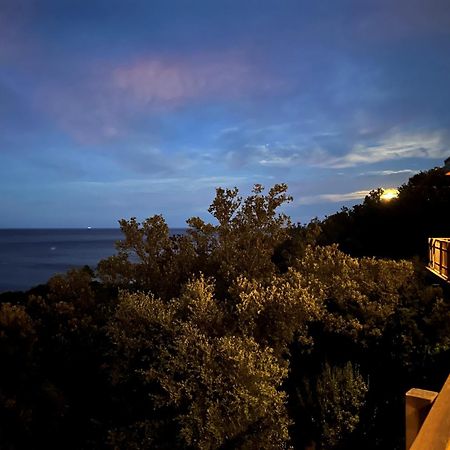Villa bois vue mer a 180 degres Sari-Solenzara Eksteriør bilde